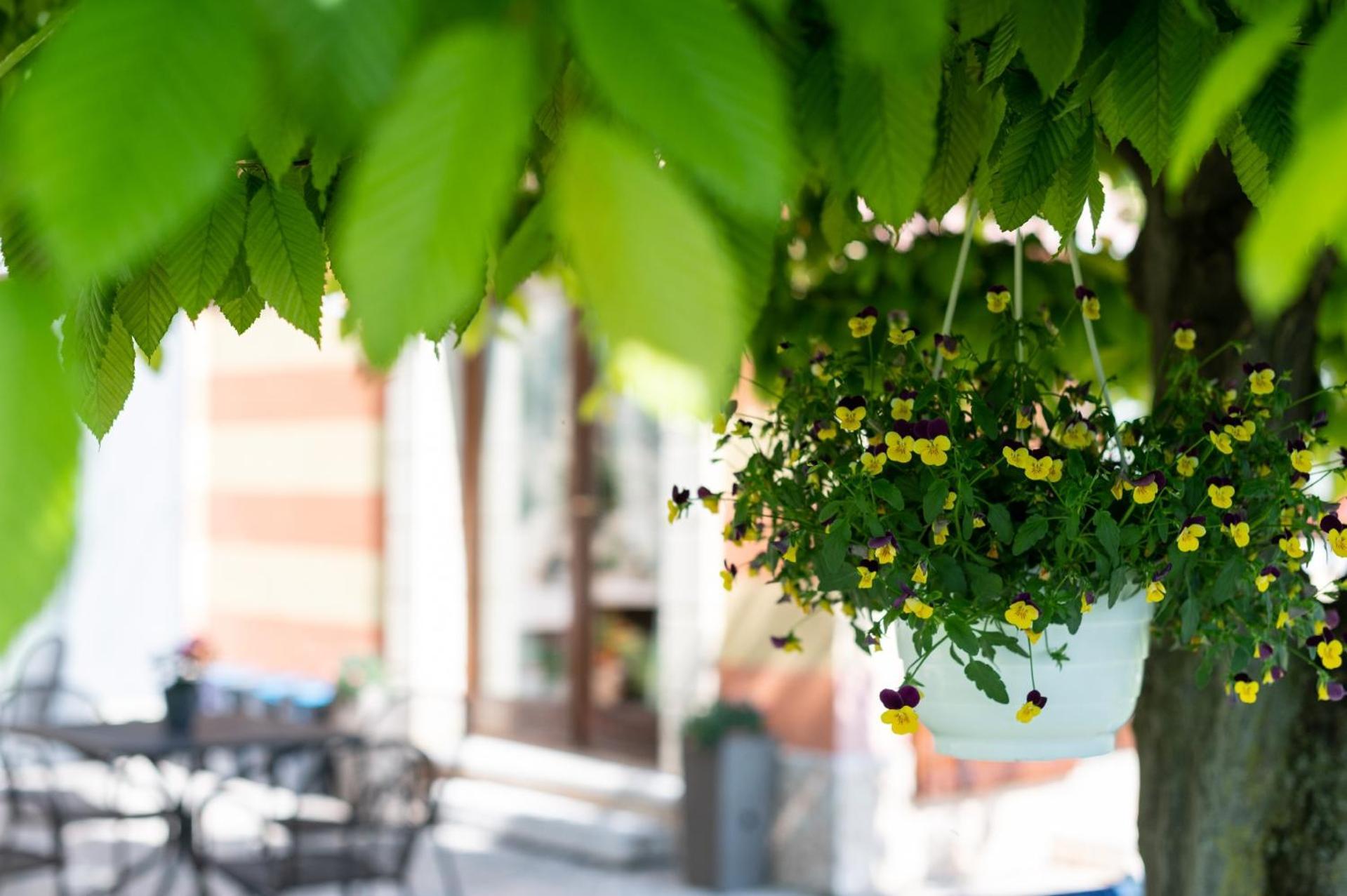 Agriturismo El Crear ซานเปียโตร อิน กาเรียโน ภายนอก รูปภาพ