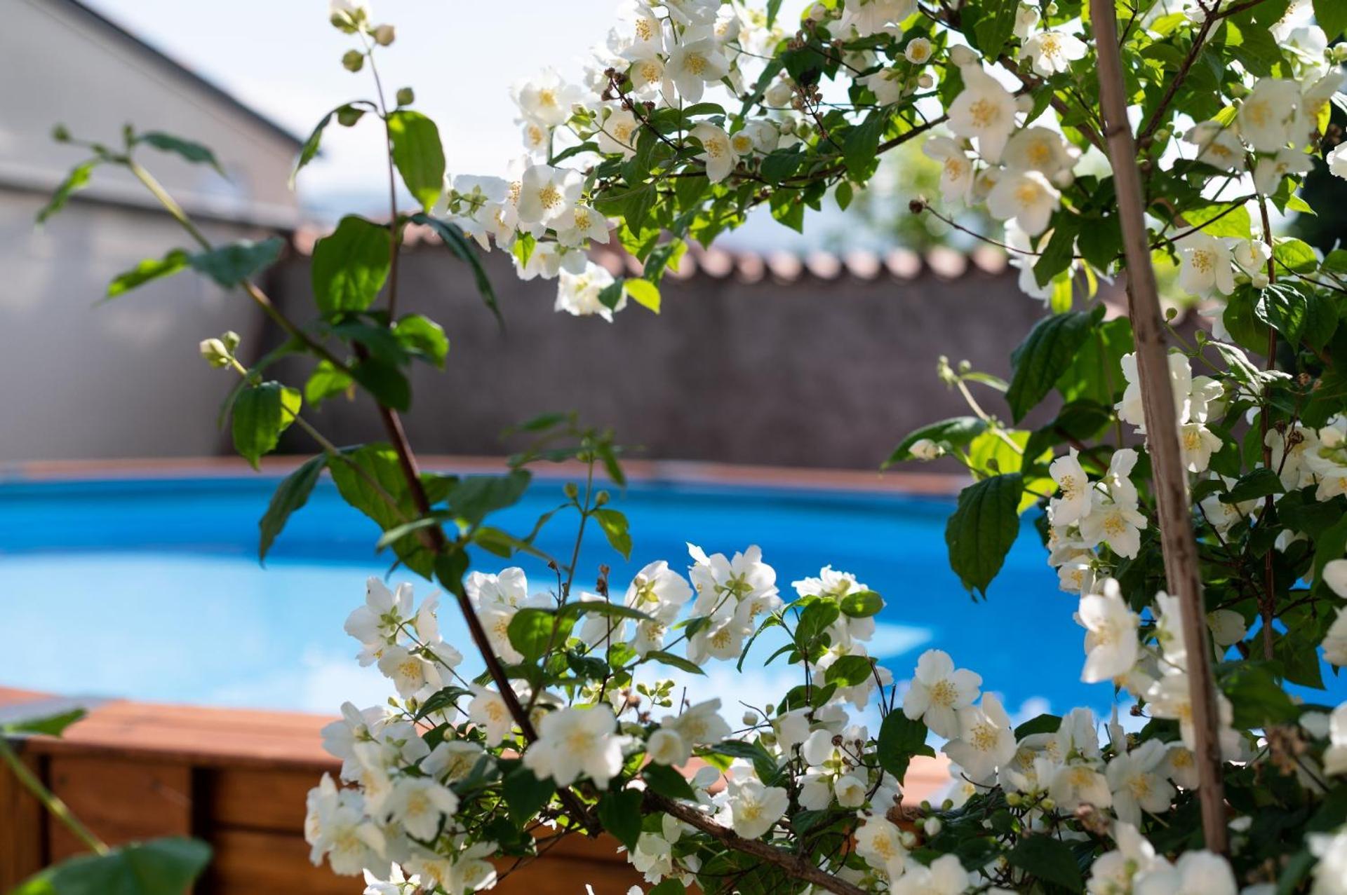 Agriturismo El Crear ซานเปียโตร อิน กาเรียโน ภายนอก รูปภาพ